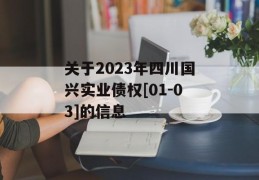 关于2023年四川国兴实业债权[01-03]的信息