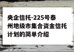 央企信托-225号泰州地级市集合资金信托计划的简单介绍