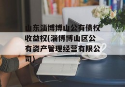 山东淄博博山公有债权收益权(淄博博山区公有资产管理经营有限公司)