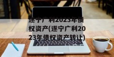 遂宁广利2023年债权资产(遂宁广利2023年债权资产转让)