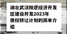 湖北武汉阳逻经济开发区建设开发2023年债权转让计划的简单介绍