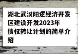 湖北武汉阳逻经济开发区建设开发2023年债权转让计划的简单介绍