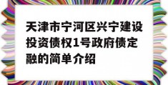 天津市宁河区兴宁建设投资债权1号政府债定融的简单介绍