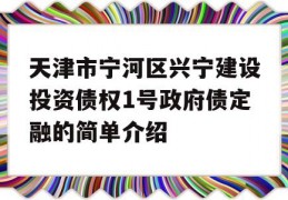 天津市宁河区兴宁建设投资债权1号政府债定融的简单介绍