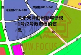 关于天津蓟州新城债权1号/2号政府债的信息