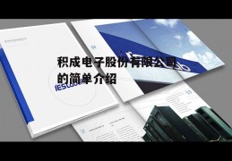 积成电子股份有限公司的简单介绍