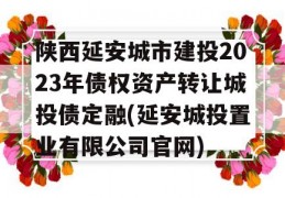 陕西延安城市建投2023年债权资产转让城投债定融(延安城投置业有限公司官网)