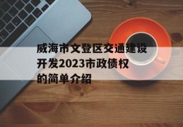 威海市文登区交通建设开发2023市政债权的简单介绍