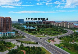 2022潍坊滨海新城公有债权计划(潍坊滨海新城公有资产经营管理有限公司)