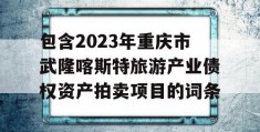 包含2023年重庆市武隆喀斯特旅游产业债权资产拍卖项目的词条