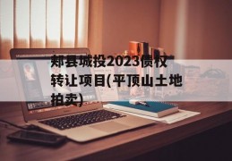 郏县城投2023债权转让项目(平顶山土地拍卖)