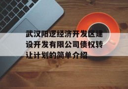 武汉阳逻经济开发区建设开发有限公司债权转让计划的简单介绍