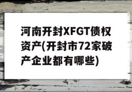 河南开封XFGT债权资产(开封市72家破产企业都有哪些)