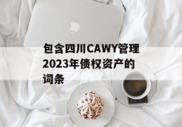 包含四川CAWY管理2023年债权资产的词条