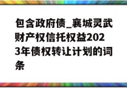 包含政府债_襄城灵武财产权信托权益2023年债权转让计划的词条