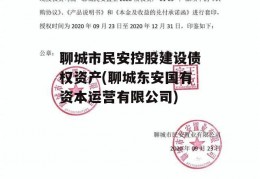 聊城市民安控股建设债权资产(聊城东安国有资本运营有限公司)