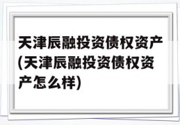 天津辰融投资债权资产(天津辰融投资债权资产怎么样)