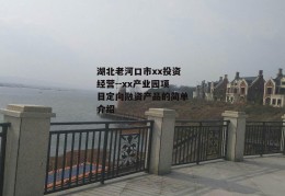 湖北老河口市xx投资经营--xx产业园项目定向融资产品的简单介绍