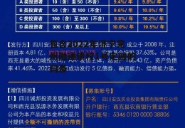 包含2022年济宁兖州融通债权1号定融的词条