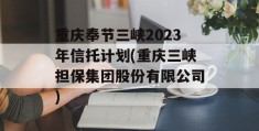 重庆奉节三峡2023年信托计划(重庆三峡担保集团股份有限公司)