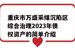 重庆市万盛采煤沉陷区综合治理2023年债权资产的简单介绍