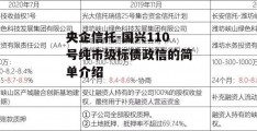 央企信托-国兴110号纯市级标债政信的简单介绍