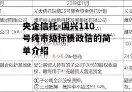 央企信托-国兴110号纯市级标债政信的简单介绍