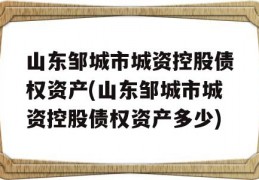 山东邹城市城资控股债权资产(山东邹城市城资控股债权资产多少)