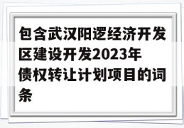 包含武汉阳逻经济开发区建设开发2023年债权转让计划项目的词条