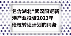 包含湖北*武汉阳逻新港产业投资2023年债权转让计划的词条