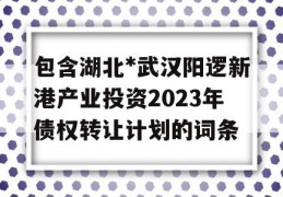 包含湖北*武汉阳逻新港产业投资2023年债权转让计划的词条