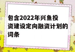 包含2022年兴鱼投资建设定向融资计划的词条