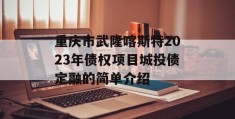 重庆市武隆喀斯特2023年债权项目城投债定融的简单介绍