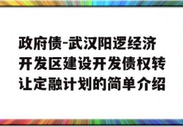 政府债-武汉阳逻经济开发区建设开发债权转让定融计划的简单介绍