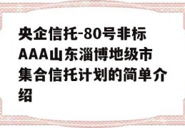 央企信托-80号非标AAA山东淄博地级市集合信托计划的简单介绍