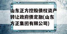 山东正方控股债权资产转让政府债定融(山东方正集团有限公司)