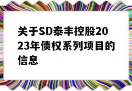 关于SD泰丰控股2023年债权系列项目的信息