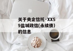 关于央企信托·XX59盐城政信(永续债）的信息