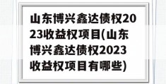 山东博兴鑫达债权2023收益权项目(山东博兴鑫达债权2023收益权项目有哪些)