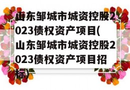 山东邹城市城资控股2023债权资产项目(山东邹城市城资控股2023债权资产项目招标)