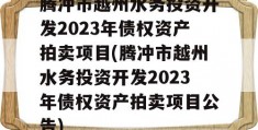 腾冲市越州水务投资开发2023年债权资产拍卖项目(腾冲市越州水务投资开发2023年债权资产拍卖项目公告)