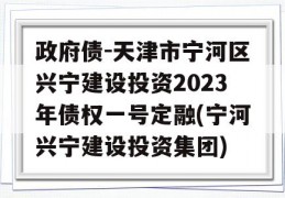 政府债-天津市宁河区兴宁建设投资2023年债权一号定融(宁河兴宁建设投资集团)