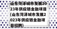 山东菏泽城市发展2023年供应链金融项目(山东菏泽城市发展2023年供应链金融项目招聘)