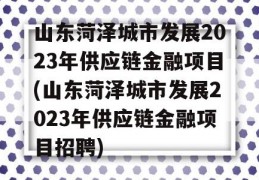 山东菏泽城市发展2023年供应链金融项目(山东菏泽城市发展2023年供应链金融项目招聘)