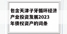 包含天津子牙循环经济产业投资发展2023年债权资产的词条