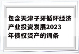 包含天津子牙循环经济产业投资发展2023年债权资产的词条