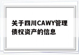 关于四川CAWY管理债权资产的信息