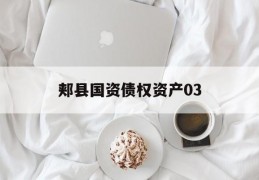 郏县国资债权资产03