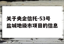 关于央企信托-53号盐城地级市项目的信息