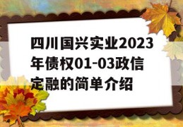 四川国兴实业2023年债权01-03政信定融的简单介绍